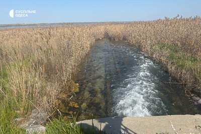 Екоінспекція перевірила якість води, яка надходить до Куяльницького лиману: що показали результати Екоінспекція перевірила якість води, яка надходить до Куяльницького лиману: що показали результати