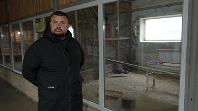 "Любить ходити по стелі": до екопарку у селі Ковалівка біля Полтави привезли нових тварин і птахів