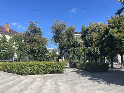 У Житомирі створюють онлайн-карту зелених зон: оцифровано 3700 насаджень У Житомирі створюють онлайн-карту зелених зон: оцифровано 3700 насаджень