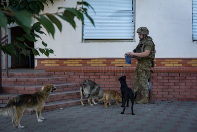 «Хліба нема, води нема, світла нема, газу нема»: як живе селище Покровське на Дніпропетровщині
