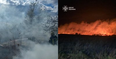 На Волині за добу вигоріло 2 гектари очерету і понад гектар сухої трави На Волині за добу вигоріло 2 гектари очерету і понад гектар сухої трави
