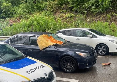 У Винниках на автомобіль впало дерево: травми отримала 17-річна дівчина У Винниках на автомобіль впало дерево: травми отримала 17-річна дівчина