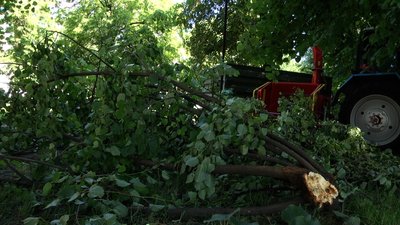 Негода на Житомирщині: повалені дерева та обірвані лінії електропередач Негода на Житомирщині: повалені дерева та обірвані лінії електропередач