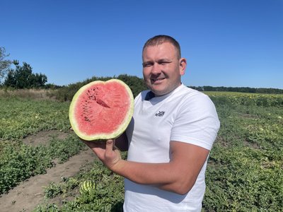 2026-го Полтавщина посіла третє місце в Україні за вирощуванням баштану: який урожай 2026-го Полтавщина посіла третє місце в Україні за вирощуванням баштану: який урожай