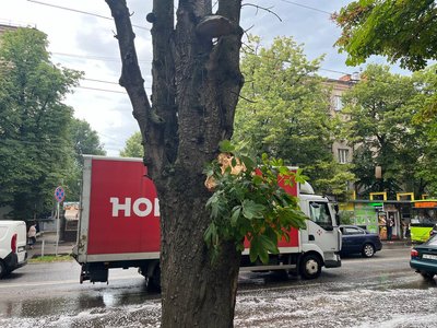 Дерева впали на будівлю та дорогу. У Дніпрі долають наслідки негоди Дерева впали на будівлю та дорогу. У Дніпрі долають наслідки негоди