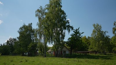 Кози, сир, біодинамічна козина ферма, Мирослава Волощук, Коломийщина, Івано-Франківщина Кози, сир, біодинамічна козина ферма, Мирослава Волощук, Коломийщина, Івано-Франківщина