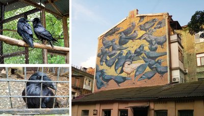 Дворик з воронами на Рейтарській Київські легенди Дворик з воронами на Рейтарській Київські легенди