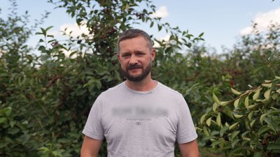 Близько 300 тонн вишні за сезон планують зібрати у господарстві на Миколаївщині Близько 300 тонн вишні за сезон планують зібрати у господарстві на Миколаївщині
