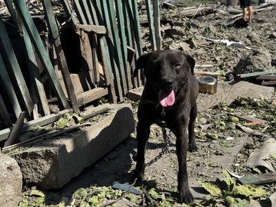 "Дивом вцілили, але стали бомжами". Розповіді жителів Олександрівки після ударів семи бомб
