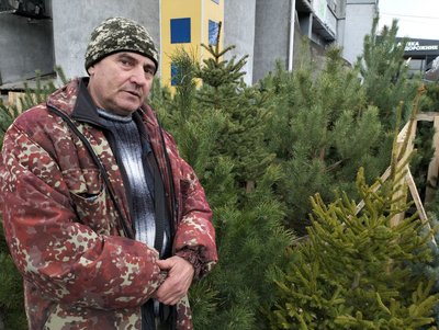 У Луцьку запрацювали ялинкові ярмарки. Скільки коштують хвойні дерева до свят