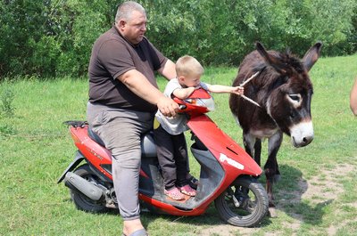 Сільський атракціон: фермер на Рівненщині придбав для дітей ослицю Ноомі