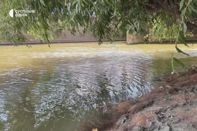 У Дунаї та придунайських озерах на Одещині знижується рівень води: яка причина У Дунаї та придунайських озерах на Одещині знижується рівень води: яка причина