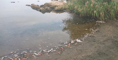 Міфи про воду з-під крана: що насправді п’ють вінничани Міфи про воду з-під крана: що насправді п’ють вінничани