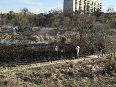 В Ужгороді на озері Кірпічка горить сухостій В Ужгороді на озері Кірпічка горить сухостій
