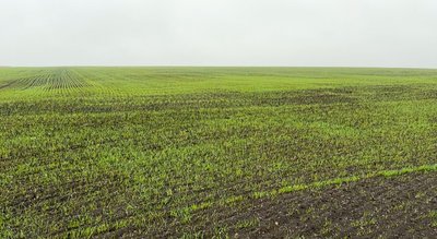 розмінування ДСНС поля сільгосппідприємства піротехніки Долина Билбасівка Донецька область грудень 2024 рік розмінування ДСНС поля сільгосппідприємства піротехніки Долина Билбасівка Донецька область грудень 2024 рік