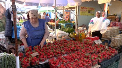 Сезон полуниці: скільки коштує ягода на ринку Черкас Сезон полуниці: скільки коштує ягода на ринку Черкас