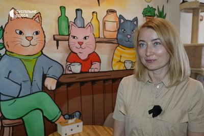 «Котики — це не іграшки»: як за понад пів року змінилося котокафе в Одесі «Котики — це не іграшки»: як за понад пів року змінилося котокафе в Одесі