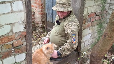 котики, зсу, рижик котики, зсу, рижик