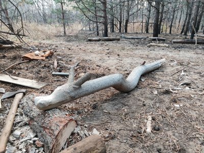 Витесані під обстрілами: історія прикордонника, який робить дерев'яні мініскульптури Витесані під обстрілами: історія прикордонника, який робить дерев'яні мініскульптури
