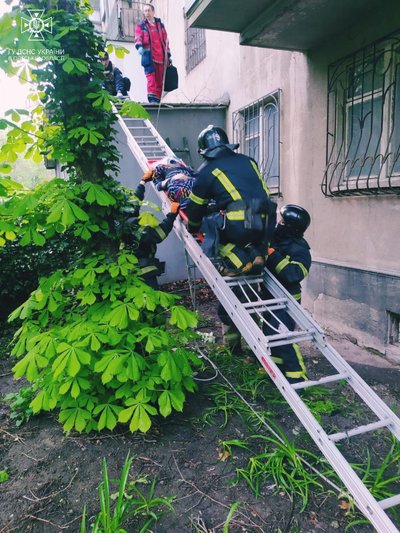 В Одесі шпиталізували літню жінку, яка впала з п'ятого поверху. Її стан критичний В Одесі шпиталізували літню жінку, яка впала з п'ятого поверху. Її стан критичний