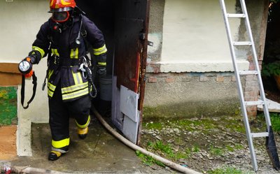 У Хмельницькому під час пожежі врятували чотирьох кошенят