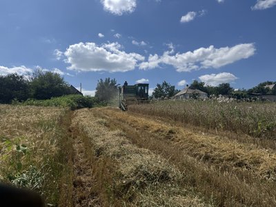 “Якось уже звикли до тих дронів”. Як у Дмитрівці за 20 кілометрів від фронту збирають урожай