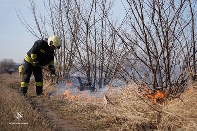 Пожежа сухостою на вʼїзді в Черкаси: на місці працюють рятувальники Пожежа сухостою на вʼїзді в Черкаси: на місці працюють рятувальники