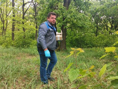 Вакцинація диких тварин від сказу: як це роблять на Полтавщині Вакцинація диких тварин від сказу: як це роблять на Полтавщині