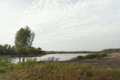 “Пошкодили човни та обмежили доступ до водойми”: жителі села Скуносеве скаржаться на захват водойми підприємцем