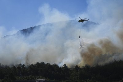 У низці країн Європи попереджають про аномальну спеку. У Франції та Туреччині — лісові пожежі