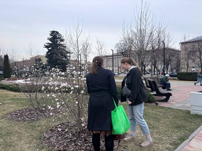"Динозаври вимерли, а вони залишилися": у Черкасах розквітають магнолії