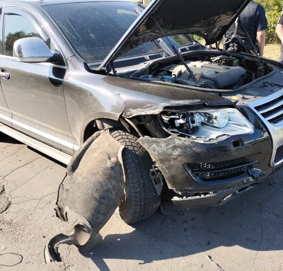 На Житомирщині нетверезий експоліцейський спричинив ДТП: поліція з'ясовує обставини На Житомирщині нетверезий експоліцейський спричинив ДТП: поліція з'ясовує обставини