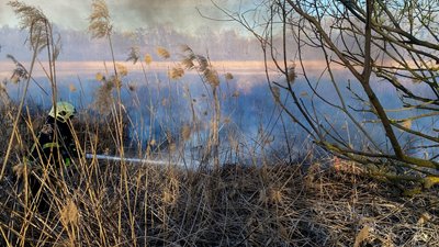 На Черкащині горів сухостій