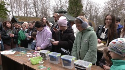 Чотири види кажанів після реабілітації випустили на волю у Рівному