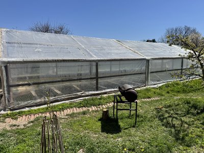 Яку розсаду саджати на город у травні та які ціни: поради від фахівців Яку розсаду саджати на город у травні та які ціни: поради від фахівців