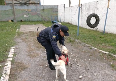 Рятувальник-кінолог зазначив, що у роботі з твариною необхідна довіра, жовтень 2026 року, Хмельницький Рятувальник-кінолог зазначив, що у роботі з твариною необхідна довіра, жовтень 2026 року, Хмельницький