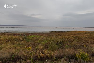 Злива в Одесі врятувала Куяльницький лиман від пересихання Злива в Одесі врятувала Куяльницький лиман від пересихання