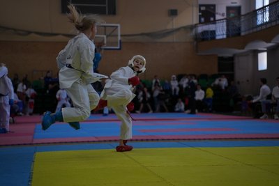 У Сумах відбулися обласні змагання з карате. Які результати У Сумах відбулися обласні змагання з карате. Які результати