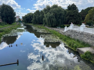 Запах загиблої риби у річці Плоскій чути біля багатоповерхівок, які розташовані поруч, та парку п’ятий день Запах загиблої риби у річці Плоскій чути біля багатоповерхівок, які розташовані поруч, та парку п’ятий день