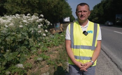 Начальник відділу експлуатації Служби відновлення та розвитку інфраструктури в Тернопільській області Олег Куций, ліквідація борщівника, 30 червня 2026 року