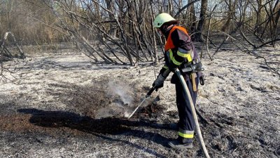 На Черкащині протягом доби згоріло понад 12 гектарів сухостою та сміття через кинуті недопалки На Черкащині протягом доби згоріло понад 12 гектарів сухостою та сміття через кинуті недопалки