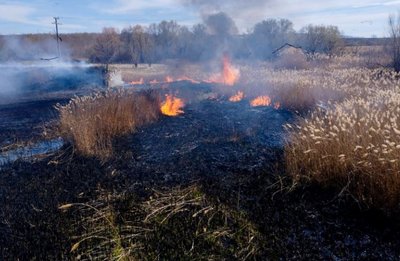 Горіла суха рослинність: на Черкащині за минулу добу сталося 15 пожеж Горіла суха рослинність: на Черкащині за минулу добу сталося 15 пожеж