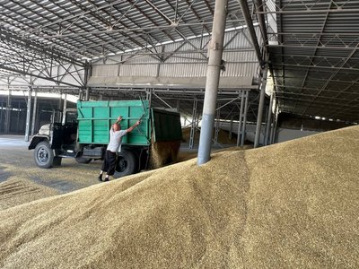 На Вінниччині стартували жнива На Вінниччині стартували жнива