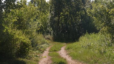 "П'ять бабусь залишилось": як живе малолюдне село Максимівщина Сумського району "П'ять бабусь залишилось": як живе малолюдне село Максимівщина Сумського району