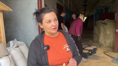 "Ситуація погіршується з кожним днем": на Чернігівщину з прифронтового села Харківщини евакуювали 15 коней "Ситуація погіршується з кожним днем": на Чернігівщину з прифронтового села Харківщини евакуювали 15 коней