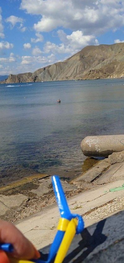 До "Жовтої стрічки" загалом доєдналися понад 6 тисяч активістів з Криму До "Жовтої стрічки" загалом доєдналися понад 6 тисяч активістів з Криму