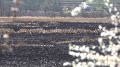 пожежа, пожежа в заказнику пожежа, пожежа в заказнику