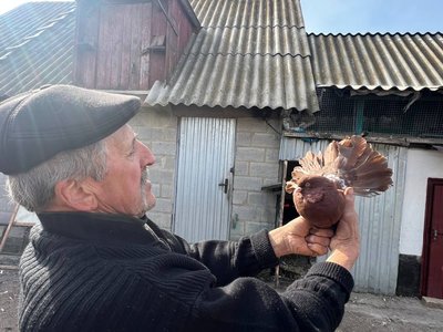 Любов до голубів, яка стала справою життя: як житель Вінниччини понад 20 років розводить декоративних птахів Любов до голубів, яка стала справою життя: як житель Вінниччини понад 20 років розводить декоративних птахів