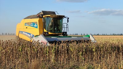 Жнива соняшника на Миколаївщині: як погода вплинула на врожайність Жнива соняшника на Миколаївщині: як погода вплинула на врожайність