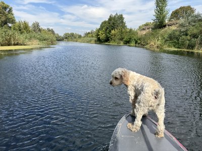 Допливти до Чорного моря: житель Кобеляк, що на Полтавщині 4 роки власноруч будував пліт Допливти до Чорного моря: житель Кобеляк, що на Полтавщині 4 роки власноруч будував пліт
